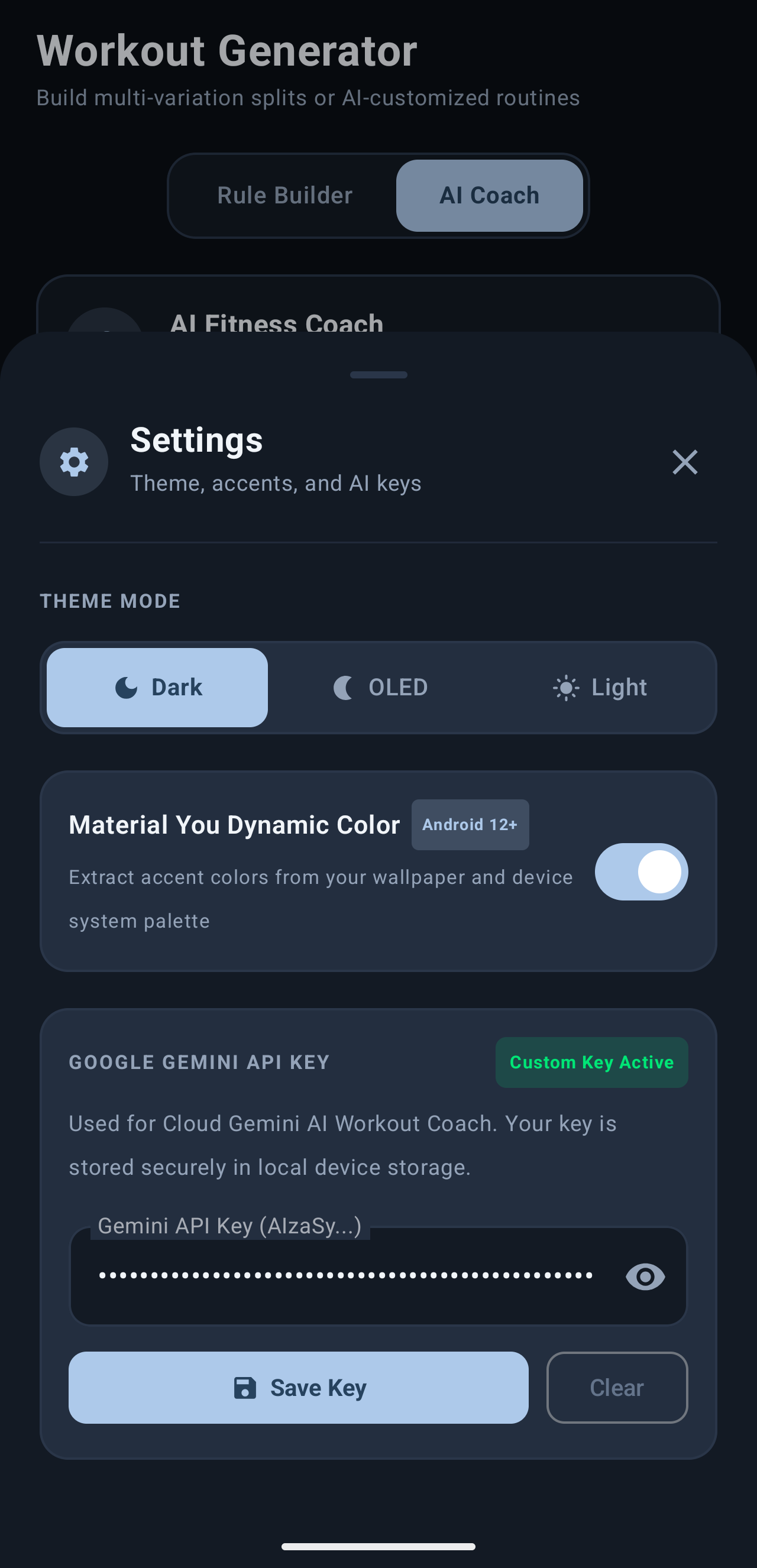 Settings, Gemini API key for AI Coach